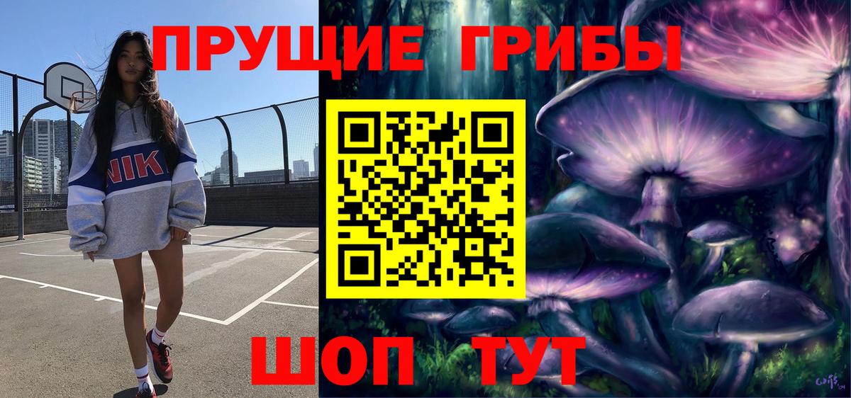 Псилоцибиновые грибы Psilocybe Кимовск